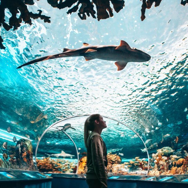 Ripley’s Aquarium of Canada