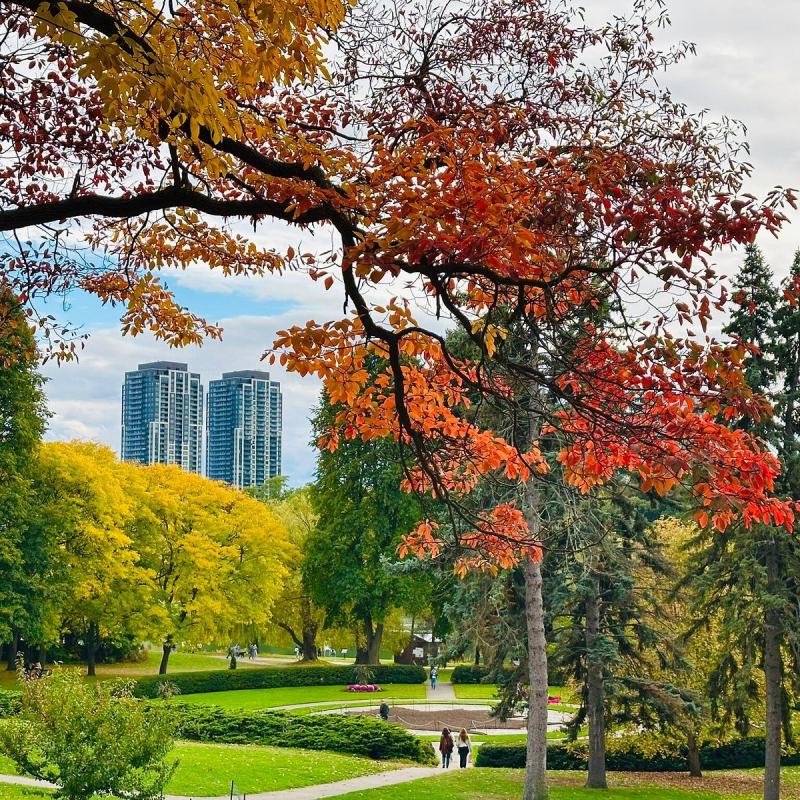 High Park